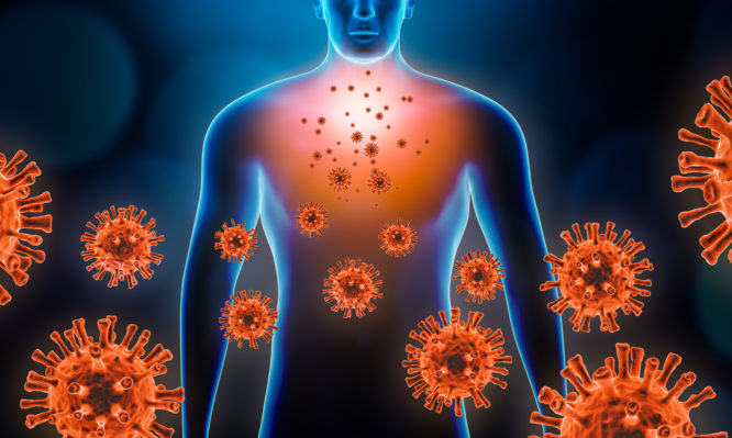 Viral pneumopathy 3d rendering illustration with red virus cells and human body. Coronavirus, covid 19, infectious and inflammatory respiratory disease as pneumonia or bronchitis concepts.